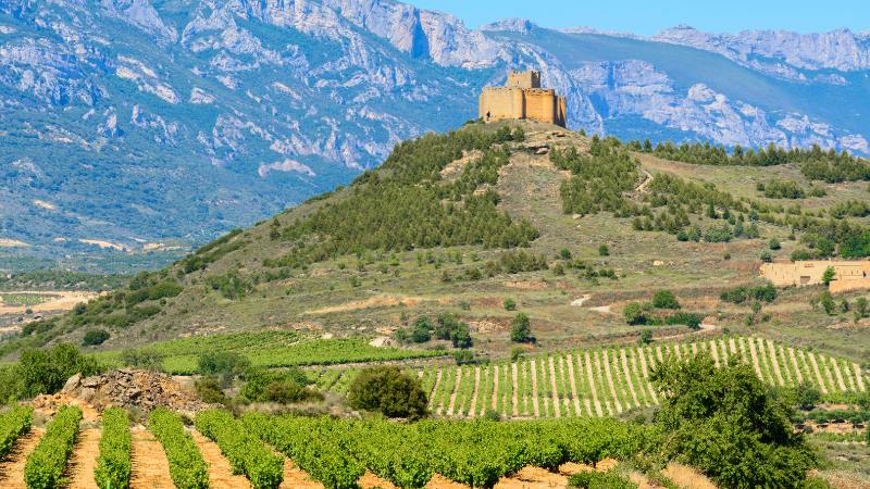 Qué ver y hacer en La Rioja: guía para recién llegados