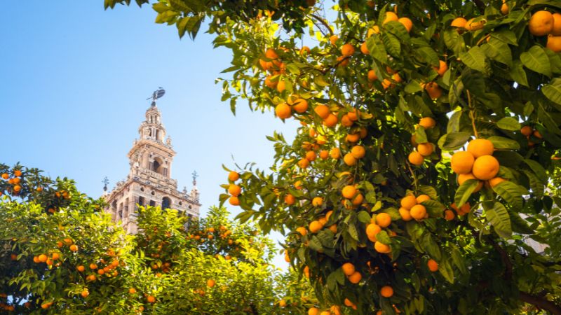 5 pueblos con encanto para visitar en Andalucía
