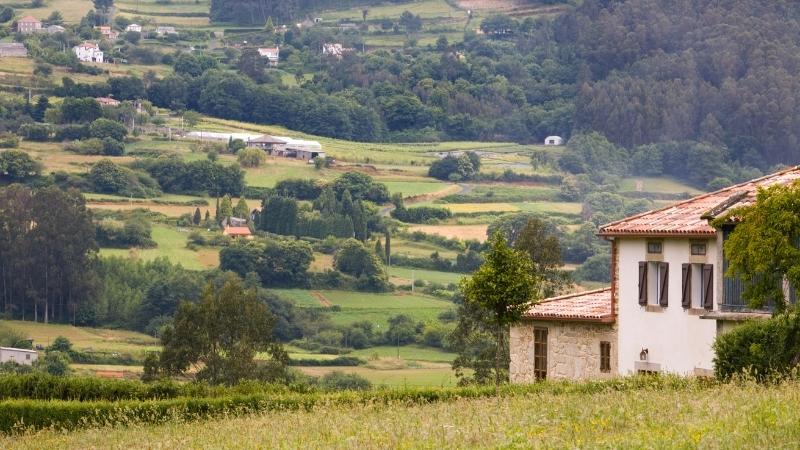 Camino de Santiago: guía para principiantes