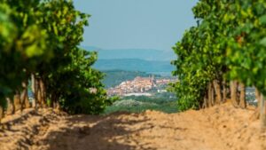 Eventos y festivales en La Rioja que debes vivir