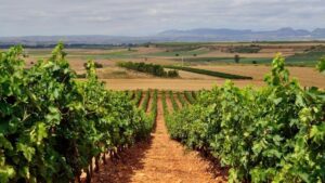 Pueblos con encanto en La Rioja